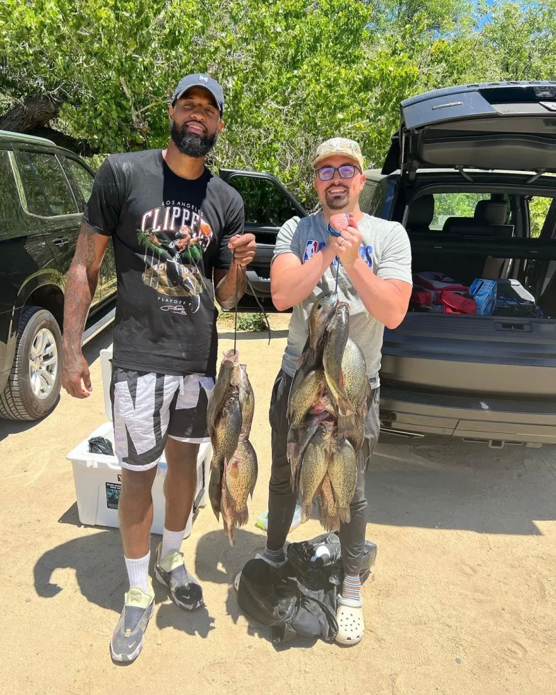 的去向及现 的去向及现