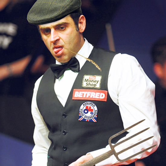 调查团队由 调查团队由