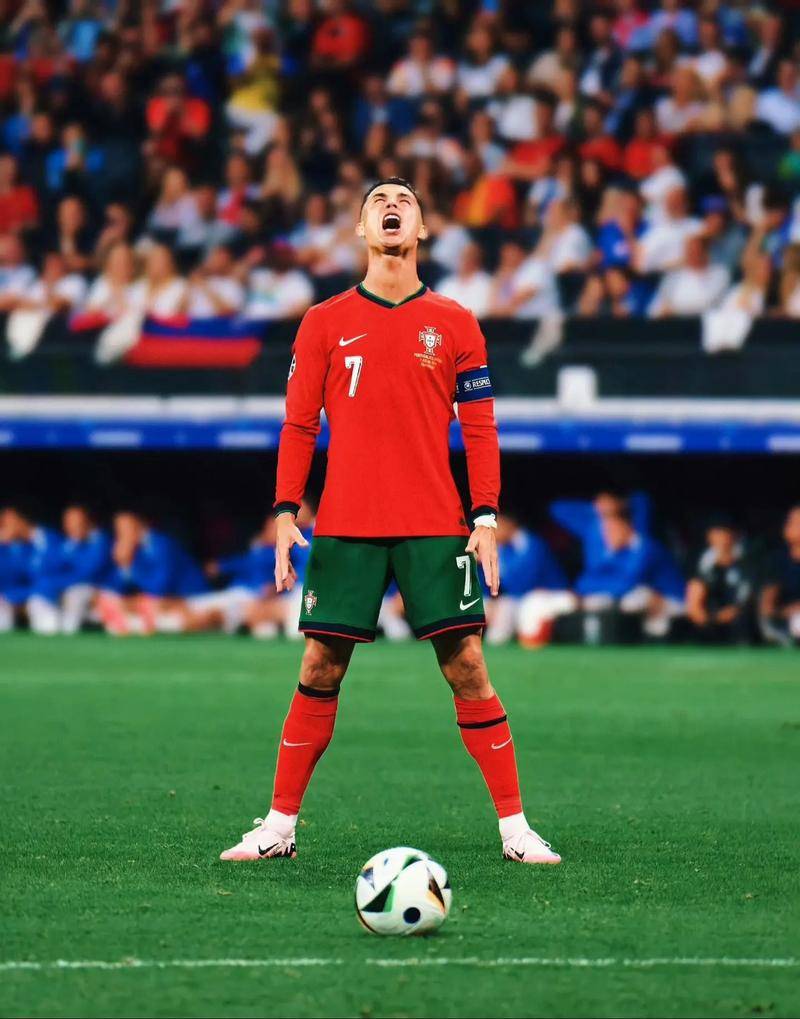 本周十佳进 本周十佳进