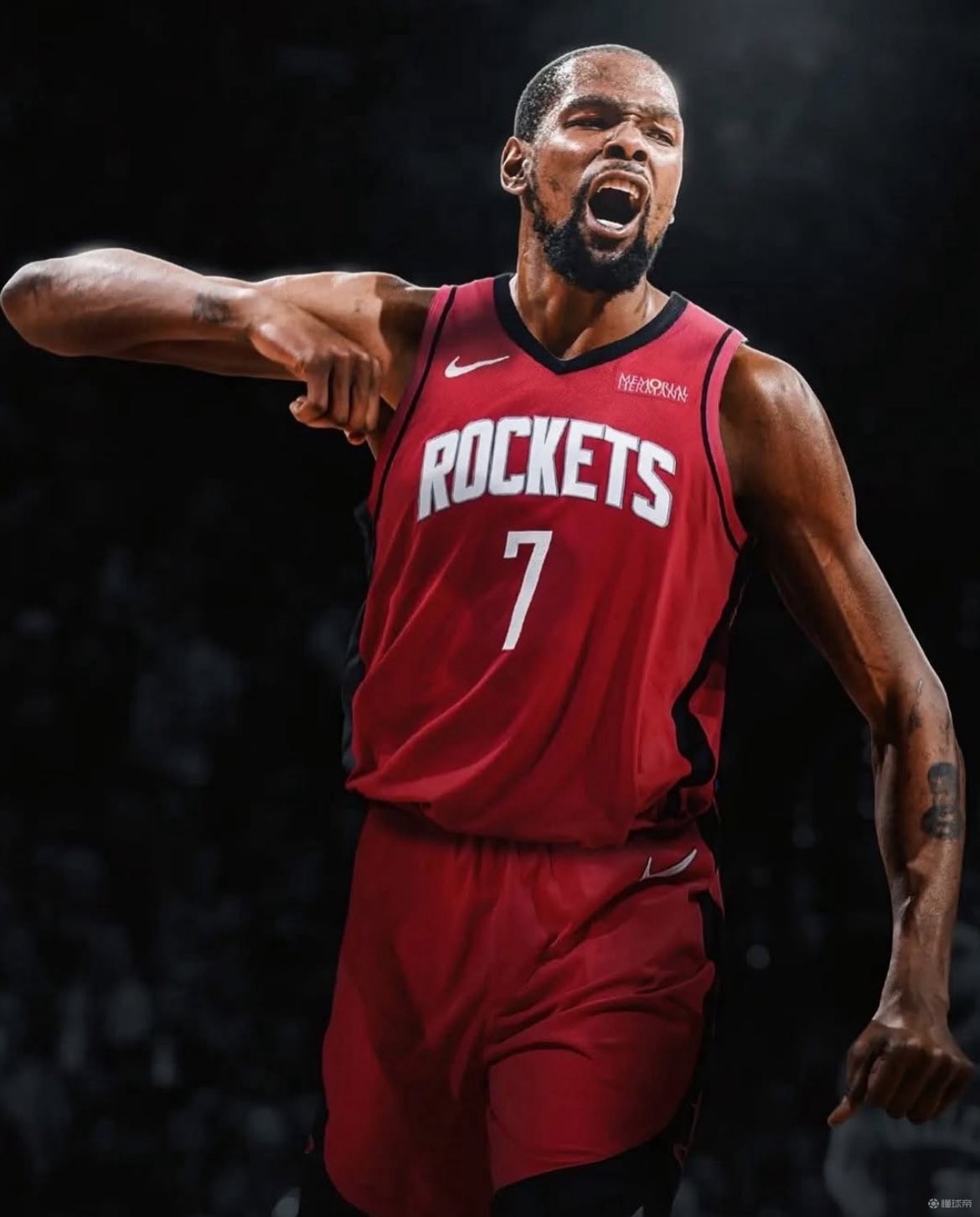 康的生态循 康的生态循